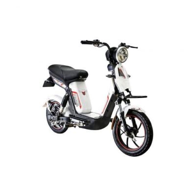 Xe đạp điện Osakar Alpha Sport 9 Mau Trang 1 510x510 1