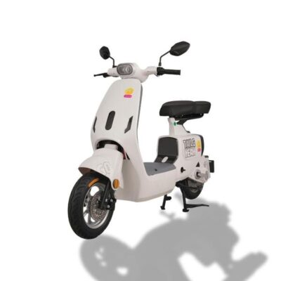 Xe đạp điện TAILG GR55