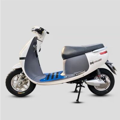 gopath si trang bong 768x768pngresult 1764299145