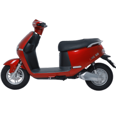 nen trang 60 1764299985
