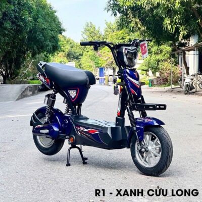 xe dien r1